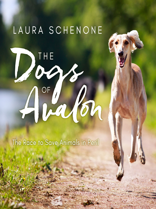 Title details for The Dogs of Avalon by Laura Schenone - Wait list